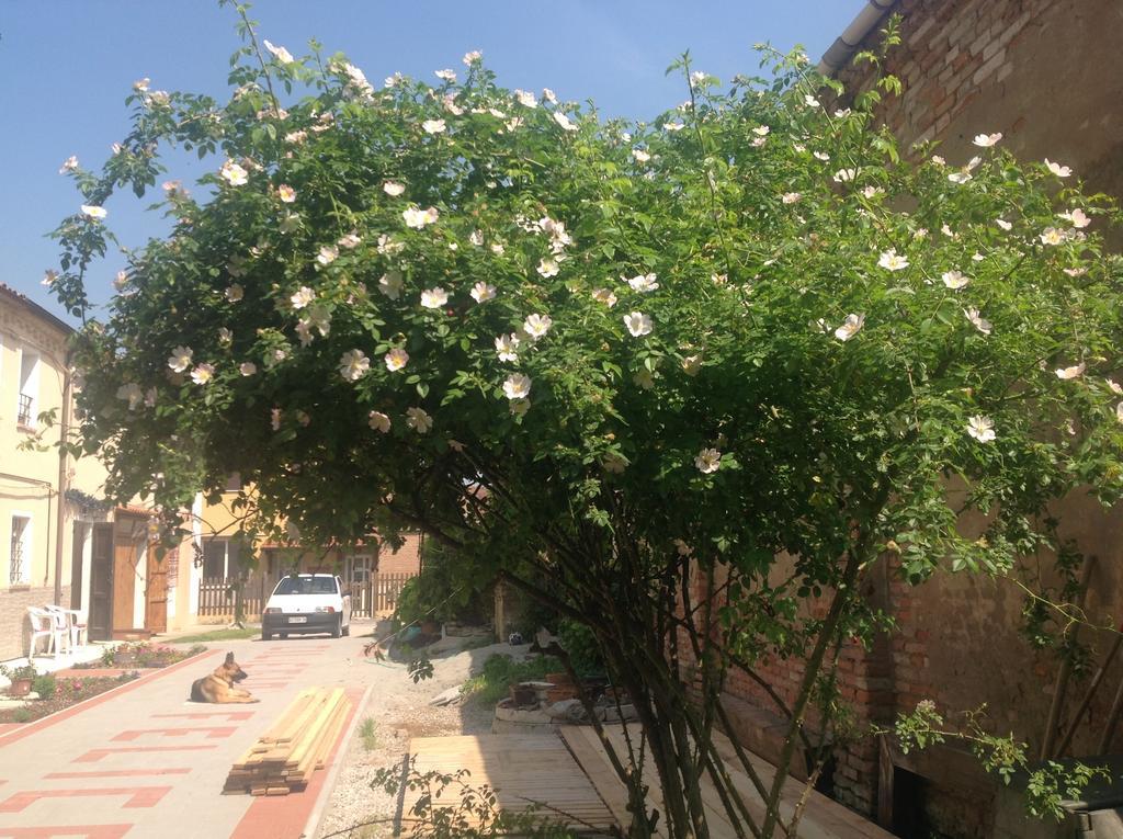 B&B Ciliegio Felice Молинелла Экстерьер фото